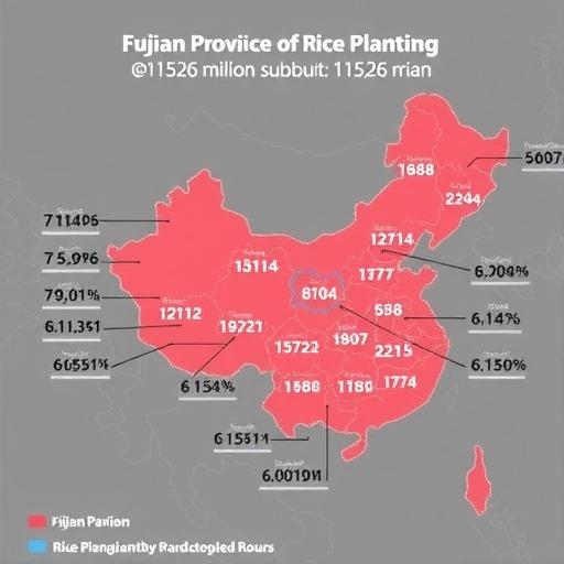 福建省第二批种粮补贴资金下达11526万元,各个市分配多少? 福建省第二批种粮补贴资金下达11526万元,各个市分配多少?