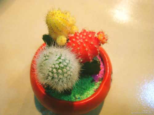 如何斩断丈夫的烂桃花(图1)