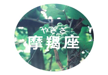 爱情里最固执的五大星男(图5)
