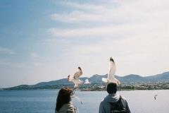 单身女子独居风水秘笈 - 星测研究所
