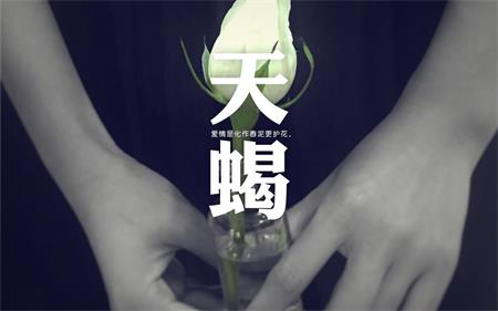 哪些星座在爱情面前最被动(图2)