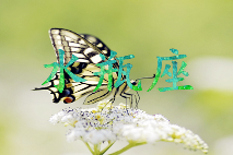 一见钟情,哪些星座一直在期待(图2) 一见钟情,哪些星座一直在期待(图2)
