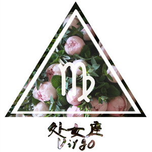 12星座念旧情结排行榜(图9)