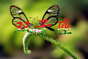 清明节，哪些星座眼泪会决堤(图7)