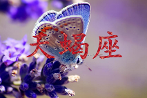 最难从前任阴影中走出来的星座(图4)