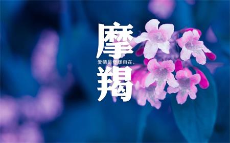 工作中最容易“过劳”的星座(图6)