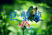 12星座谁最难追(图3)