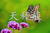12星座谁最难追(图6)