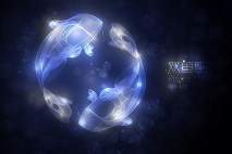 哪些星女最支持恋人的工作(图5)