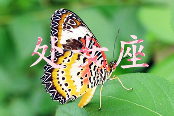 哪些星座最懂生活情调(图3)