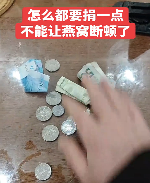 年度荒诞大戏，凡尔赛式哭穷引来的反向众筹(图5)