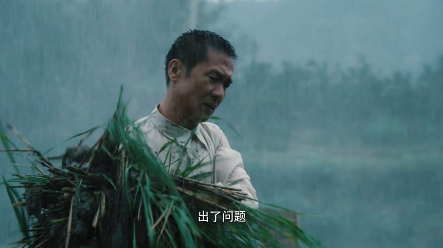 电视剧《功勋》首曝预告 周迅饰屠呦呦 黄志忠饰袁隆平(图14) 电视剧《功勋》首曝预告 周迅饰屠呦呦 黄志忠饰袁隆平(图14)