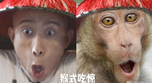 开播2.5分 张一山版《鹿鼎记》究竟差在哪？(图1)