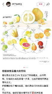 618，夏以昼给直播带货上了一课(图6)