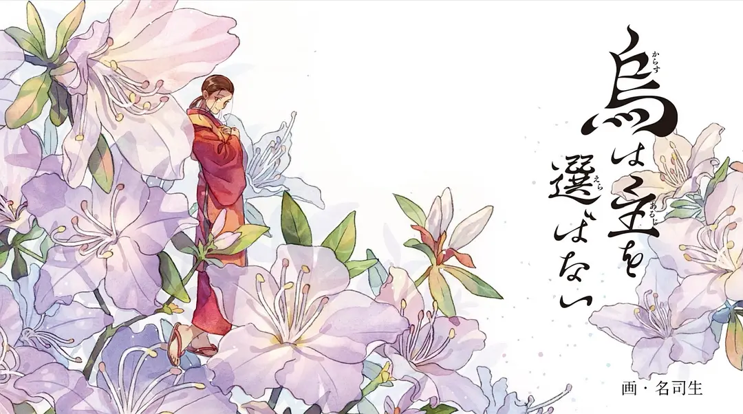 不是神魔鬼怪的宫斗 是会扎心的正剧——《乌鸦不择主》(图2) 不是神魔鬼怪的宫斗 是会扎心的正剧——《乌鸦不择主》(图2)