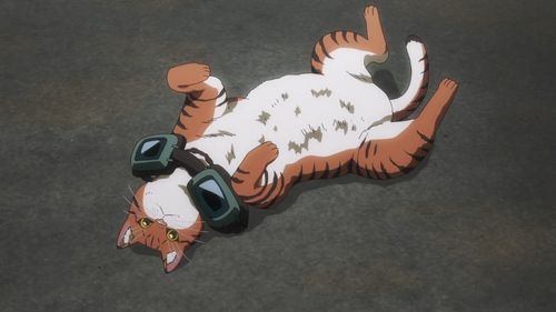动漫《活尸猫之夜》:一场B级片风格的猫奴狂想曲(图4) 动漫《活尸猫之夜》:一场B级片风格的猫奴狂想曲(图4)
