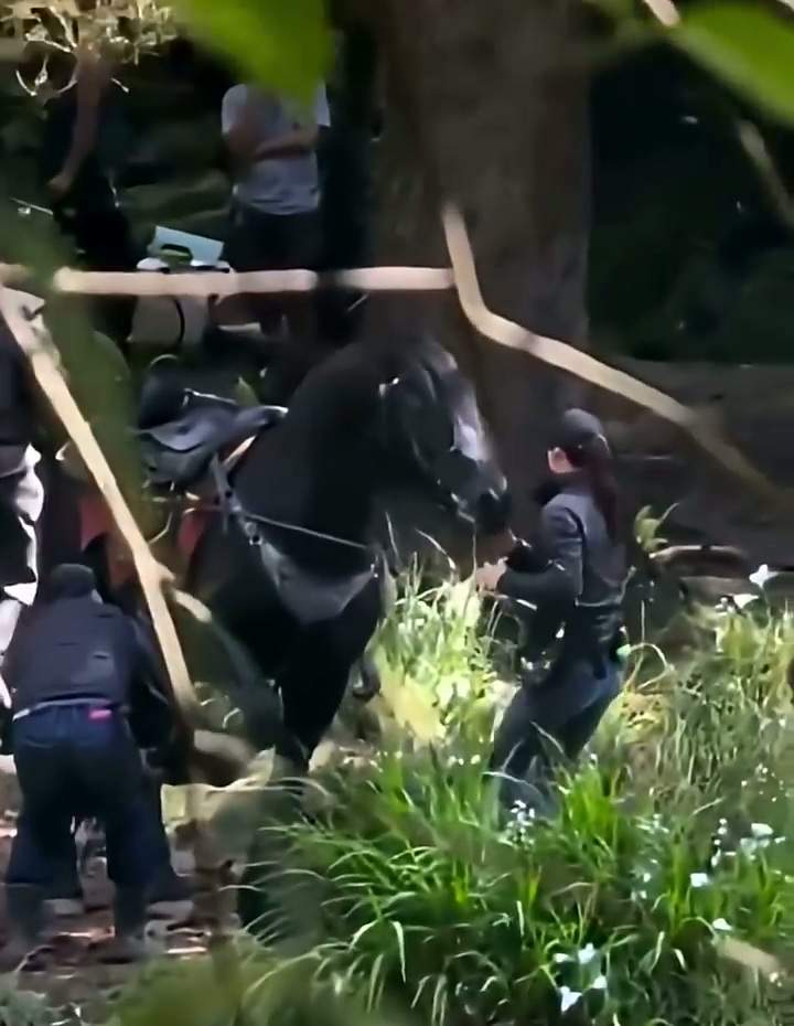 《塞尔达传说》真人电影片场视频泄露 装扮还原游戏(图3) 《塞尔达传说》真人电影片场视频泄露 装扮还原游戏(图3)