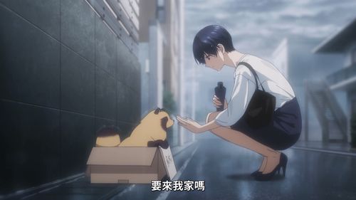 宠物番《和雨·和你》带您感受生命中与爱犬相伴的美好(图4) 宠物番《和雨·和你》带您感受生命中与爱犬相伴的美好(图4)