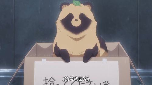 宠物番《和雨·和你》带您感受生命中与爱犬相伴的美好(图3) 宠物番《和雨·和你》带您感受生命中与爱犬相伴的美好(图3)
