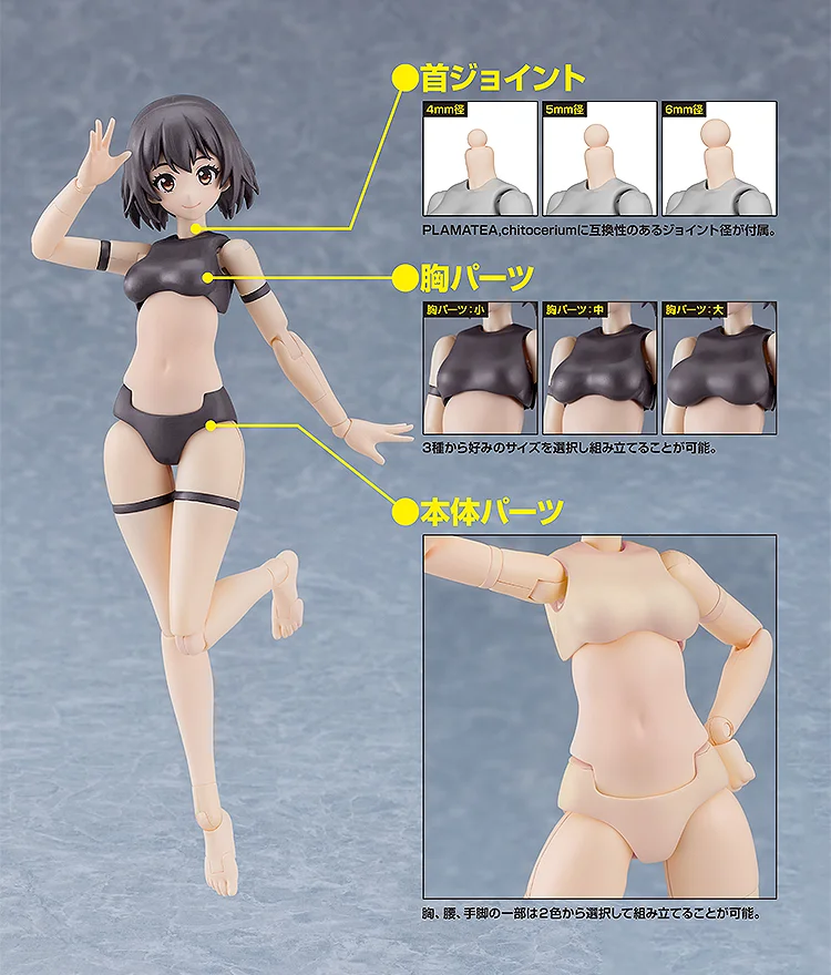 GSC《Muse Body：Ichika》模型 2026年1月正式贩售(图2)