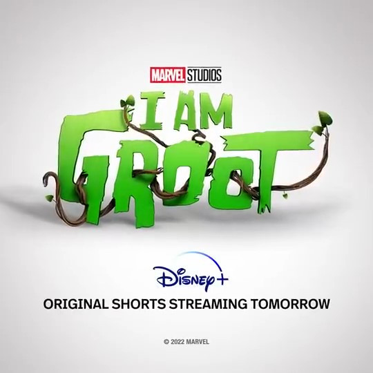 《我是格鲁特》新预告 今日Disney+播出(图9)