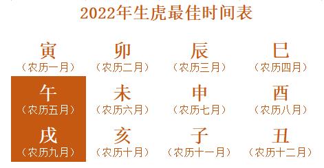 2022虎年几月份生宝宝比较好(图1) 2022虎年几月份生宝宝比较好(图1)