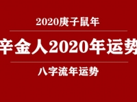辛金(日柱)人2020庚子年运势 - 和炁风水堂