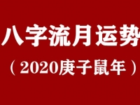 [专题]2020年八字流月运势(庚子鼠年) - 和炁风水堂