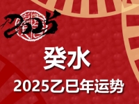 癸水日柱2025乙巳年运势解析 - 和炁风水堂
