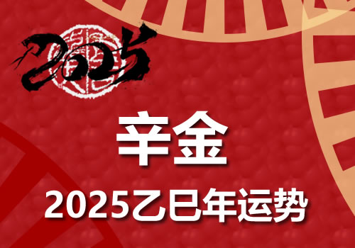 辛金日柱2025乙巳年运势解析(图1)