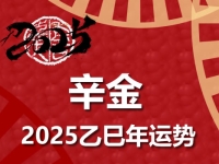 辛金日柱2025乙巳年运势解析 - 和炁风水堂