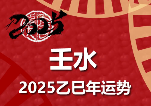 壬水日柱2025乙巳年运势解析(图1)