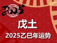戊土日柱2025乙巳年运势解析 - 和炁风水堂