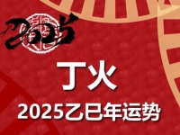 丁火日柱2025乙巳年运势详解 - 和炁风水堂