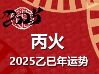 丙火日柱2025乙巳年运势解析 - 和炁风水堂