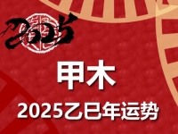 甲木日柱2025乙巳年运势解析 - 和炁风水堂