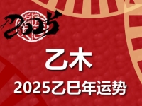 乙木日柱2025乙巳年运势解析 - 和炁风水堂