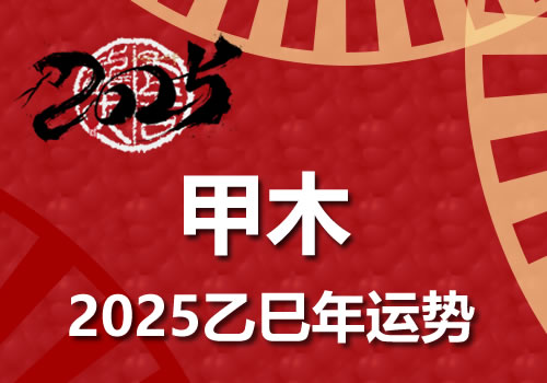甲木日柱2025乙巳年运势解析(图1)