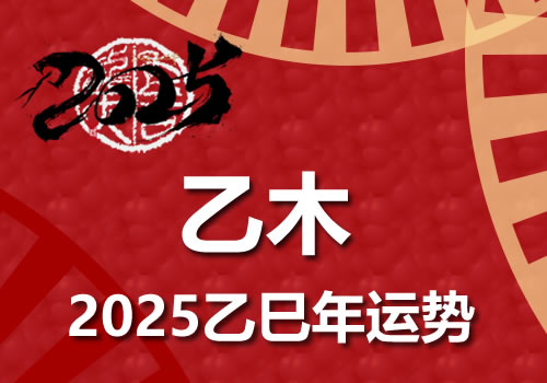 乙木日柱2025乙巳年运势解析(图1)