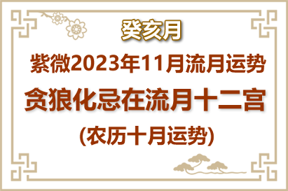 2023年11月(癸亥月)紫微流月运势：贪狼化忌(图1)