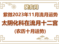 2023年11月(癸亥月)紫微流月运势：太阴化科 - 和炁风水堂