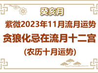 2023年11月(癸亥月)紫微流月运势：贪狼化忌 - 和炁风水堂