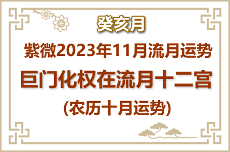 2023年11月(癸亥月)紫微流月运势：巨门化权(图1)