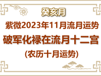 2023年11月(癸亥月)紫微流月运势：巨门化权 - 和炁风水堂