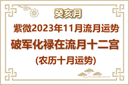 2023年11月(癸亥月)紫微流月运势：破军化禄(图1)