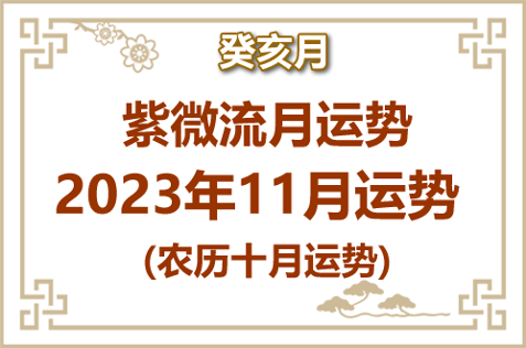2023年紫微流月11月(癸亥月)运势(图1)