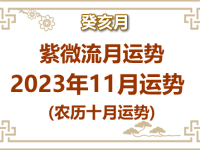2023年紫微流月11月(癸亥月)运势 - 和炁风水堂