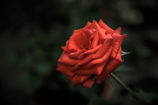 耀璋·风水矛盾论(二)(图1) 耀璋·风水矛盾论(二)(图1)