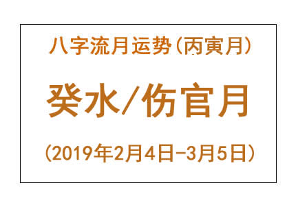 2019年八字丙寅月运势:癸水/伤官月(图1) 2019年八字丙寅月运势:癸水/伤官月(图1)