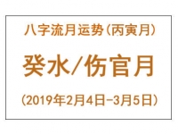 2019年八字丙寅月运势：癸水/伤官月 - 和炁风水堂